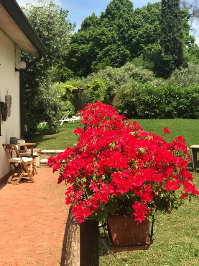 B&B Le Casette sul Garda Cavaion Veronese Exterior foto